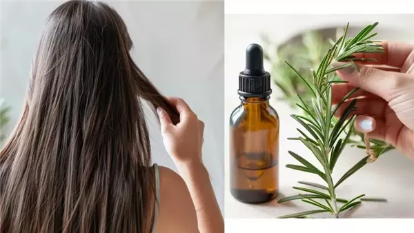 فوائد زيت إكليل الجبل