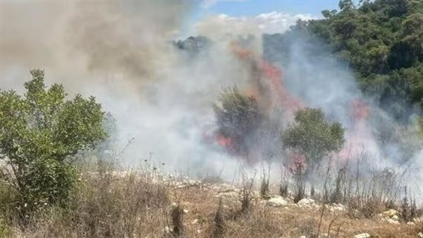 حرائق في حيفا شمال