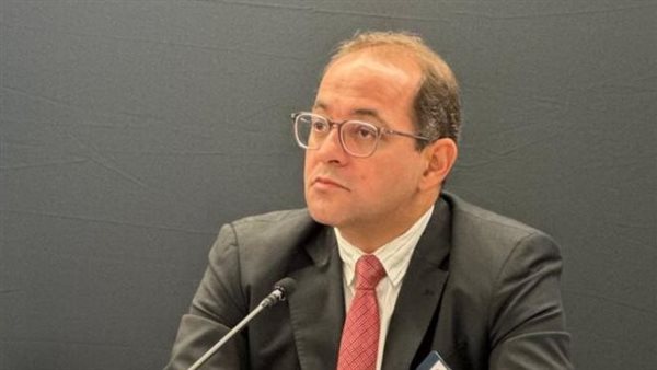 وزير المالية