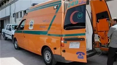 محافظ سوهاج يحيل واقعة مصرع صبي داخل غرفة صرف صحي بمستشفى برديس للتحقيق| بث مباشر