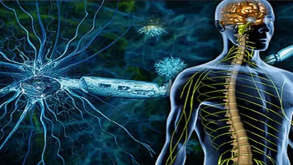 مرض التصلب المتعدد