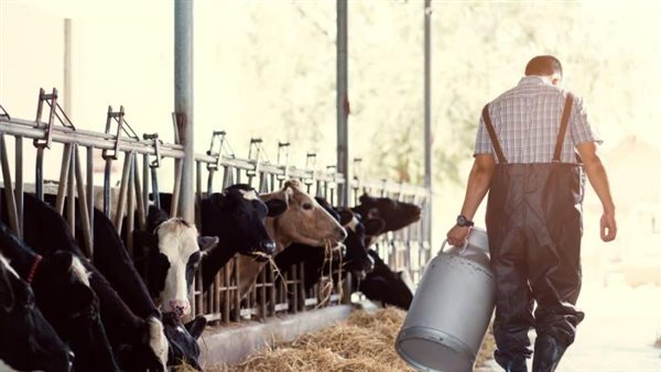 صورة تعبيرية 