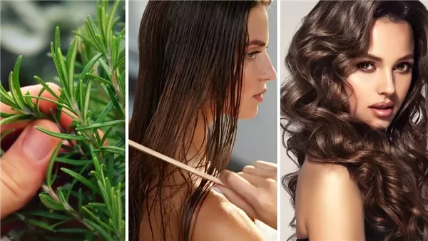 طريقة عمل زيت الروزماري