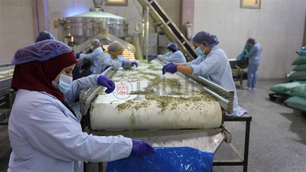 خطوط الإنتاج بالمصنع