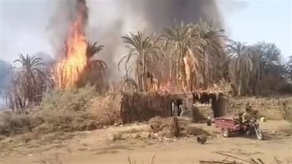 حريق بمزارع نخيل