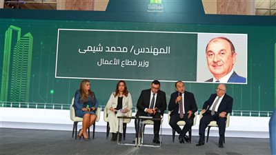 وزير قطاع الأعمال: استراتيجية شاملة لتطوير أداء الشركات التابعة وتعظيم العائد على الأصول