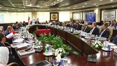 البترول: 37 مليار جنيه قيمة مبيعات المنتجات البتروكيماوية للسوق المحلية والتصدير خلال العام المالي الماضي