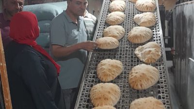 إحالة 150 محضر مخالفات تموينية بالدقهلية لجهات التحقيق