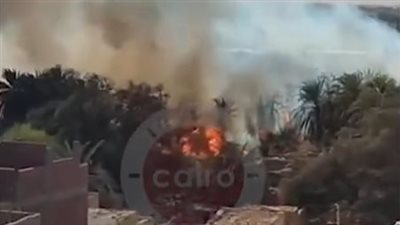 السيطرة على حريق مزرعة بالقصر في الوادي الجديد| بث مباشر 