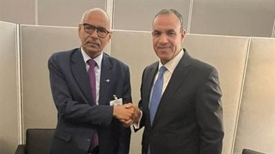 وزير الخارجية: ندعم التوصل إلى حل لأزمة السودان لحقن دماء الشعب الشقيق