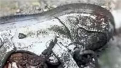 قدمه صغير داخل الحذاء.. بعد تصدرها التريند.. ما قصة الصورة التي أثارت غضب السوشيال ميديا؟