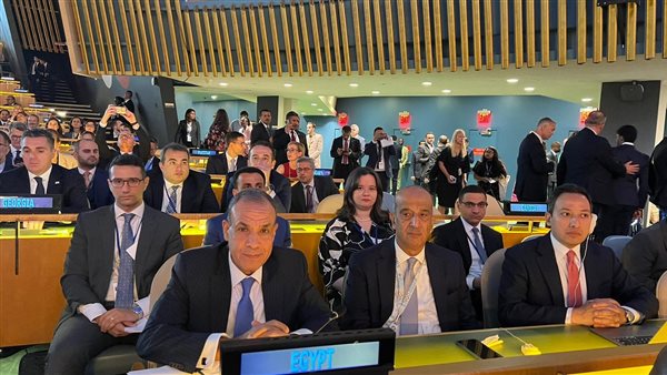 وزير الخارجية يشارك