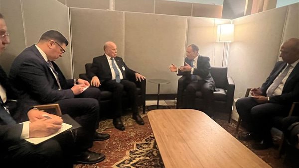 بدر عبد العاطي ونائب