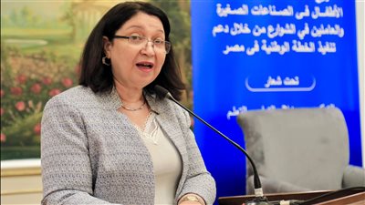 التضامن تشارك في اجتماع لجنة دعم تنفيذ الخطة الوطنية لمكافحة عمل الأطفال