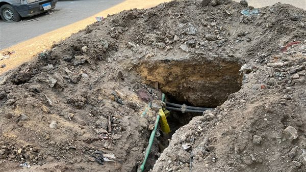 أعمال التطوير وتغذية