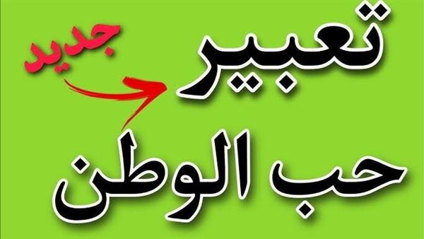 القاهرة 24