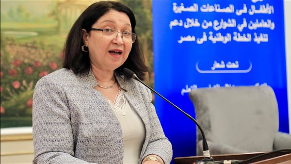 نائب وزيرة التضامن