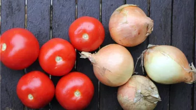 أسعار الطماطم والبصل داخل الأسواق اليوم الأربعاء 