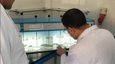 مياه الأقصر تنفي وجود أي حالات أو اشتباه لأمراض وبائية بالمحافظة