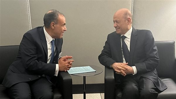 عبد العاطي والعليمي