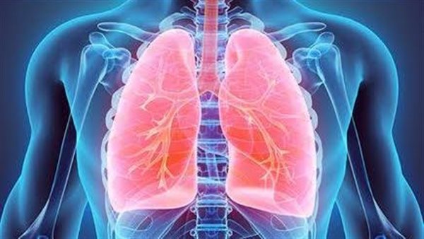 الجهاز التنفسي 