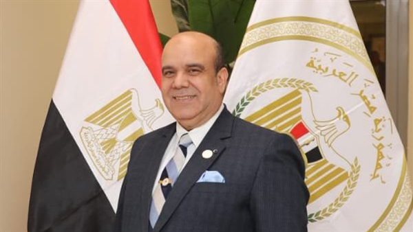 المستشار ربيع قاسم