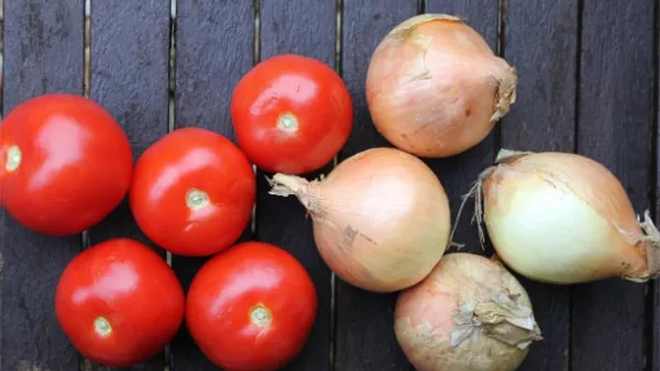 طماطم وبصل
