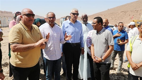 محافظ أسوان