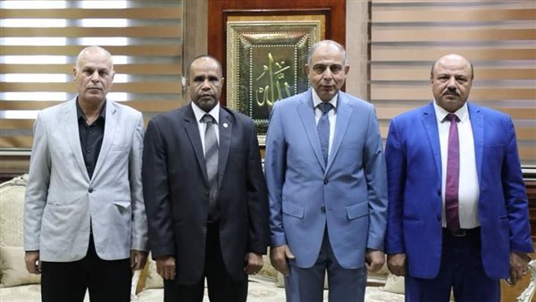 محافظ المنيا