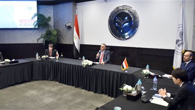 هيئة الاستثمار: شركات يابانية تعتزم التوسع في مصر