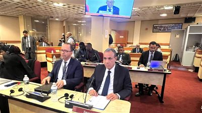 وزير الخارجية يشارك في الاجتماع الوزاري لمجلس السلم والأمن الإفريقي