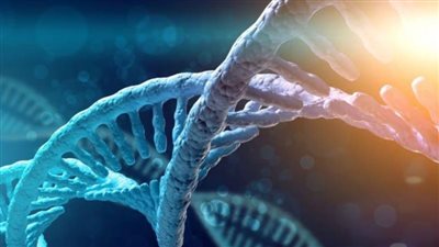 علاج جيني جديد أظهر تحسنا على مرضى الهيموفيليا ب