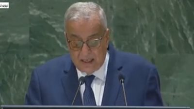 بوحبيب: الأمم المتحدة عجزت عن حمايتنا من العدوان الإسرائيلي ولبنان يواجها عقابا جماعيا للسكان