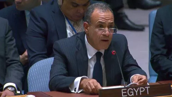 بدر عبد العاطي