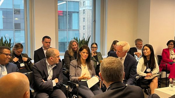 الدكتورة رانيا المشاط