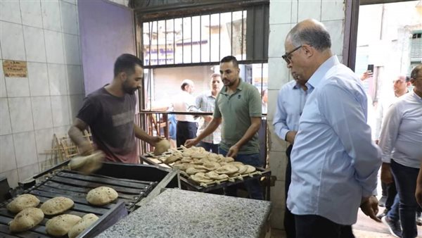 محافظ المنيا