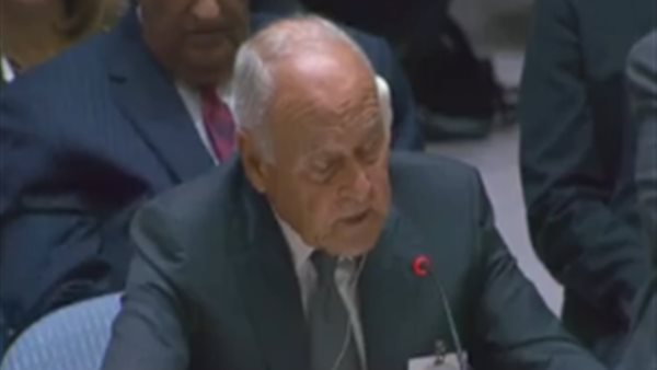 أحمد أبو الغيط في