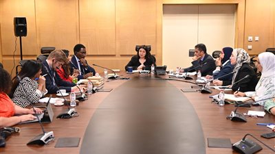 التضامن ومنظمة العمل الدولية تبحثان تعزيز أوجه التعاون في ملفات العمالة غير المنتظمة 