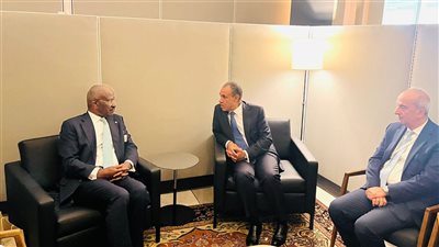 وزير الخارجية يبحث مع نظيره الموريتاني إمكانية الاستفادة من خبرات الشركات المصرية بمشروعات البنية التحتية