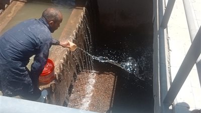 مياه الفيوم: غسيل وتطهير مرشحات المحطات لتنقية مياه الشرب