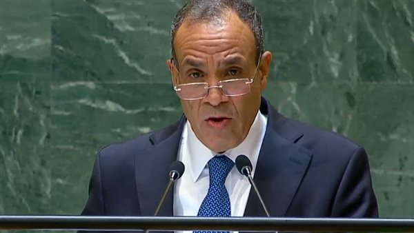 وزير الخارجية 