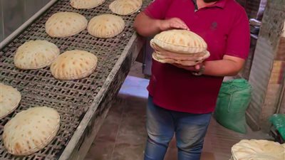 إحالة 181 محضر مخالفات للمحلات والمخابز بالدقهلية للنيابة العامة