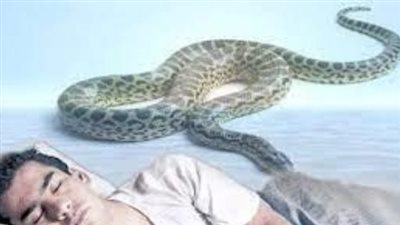 تفسير حلم الثعبان.. دلالة على قوة العدو ومكره
