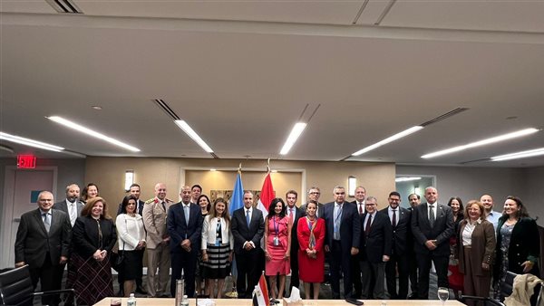 وزير الخارجية يلتقي