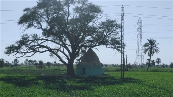 سيدتان بالفيوم تدفنا