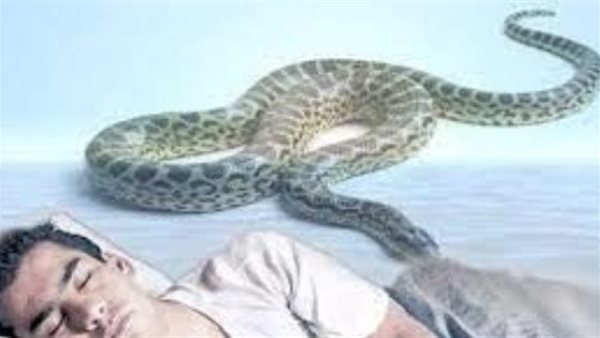 تفسير حلم الثعبان