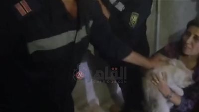 لفتة إنسانية.. الحماية المدنية تنقذ قطة عالقة ببرج سكني بالفيوم