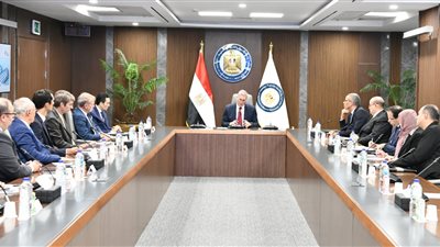 وزير البترول يبحث مستجدات تنفيذ مشروع إنتاج الأمونيا الخضراء من الهيدروجين بدمياط 