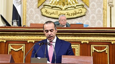 أزمة تشابه الأسماء والحبس الاحتياطي.. وزير الشؤون النيابية يكشف تفاصيل مشروع قانون الإجراءات الجنائية 