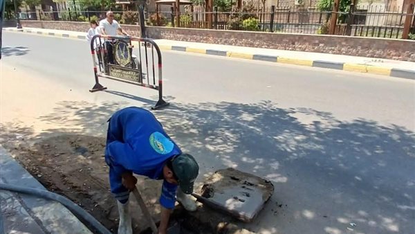 تطهير البلاغات في